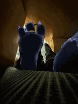 A photo drawover, featuring a dragon's paws underneath a desk, viewed from the floor.