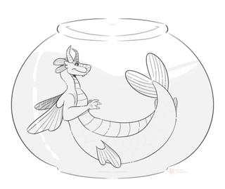 An aquatic merdragon in way too small a fishbowl