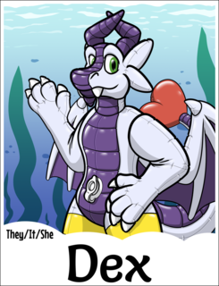 A pooltoy dragon floating in an open ocean.